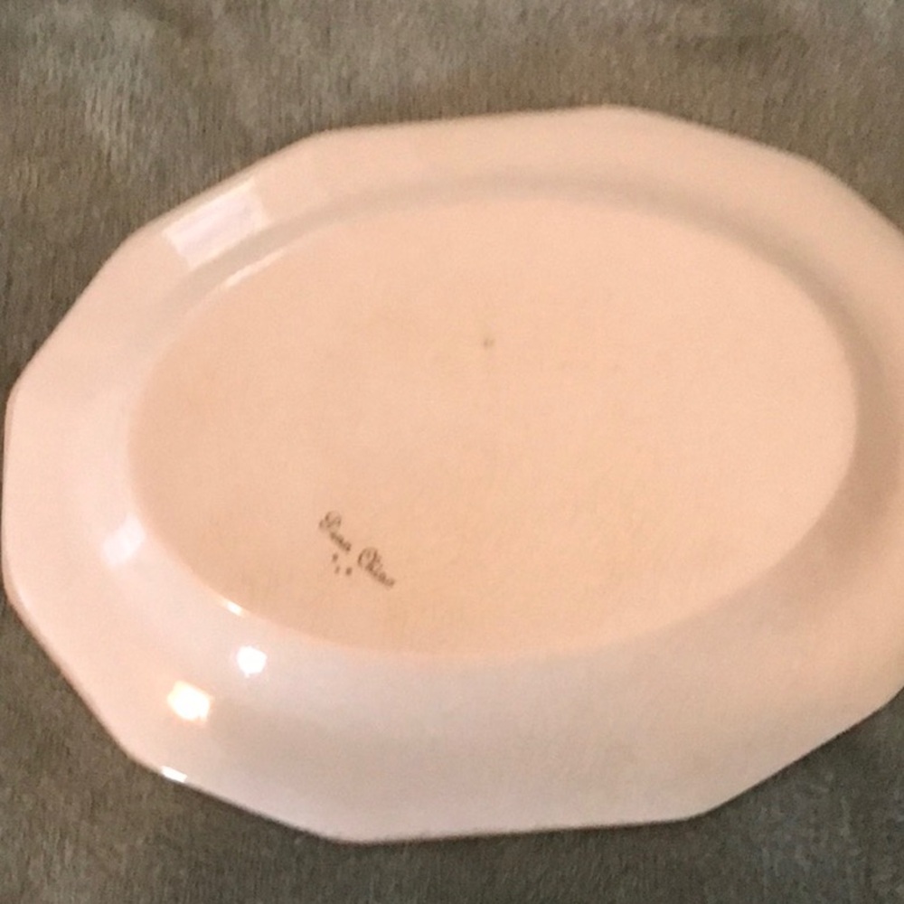 Vintage Penn china serving plate with beautiful parrot and flowers - Picture 5 of 5